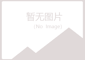 偃师如松化学有限公司